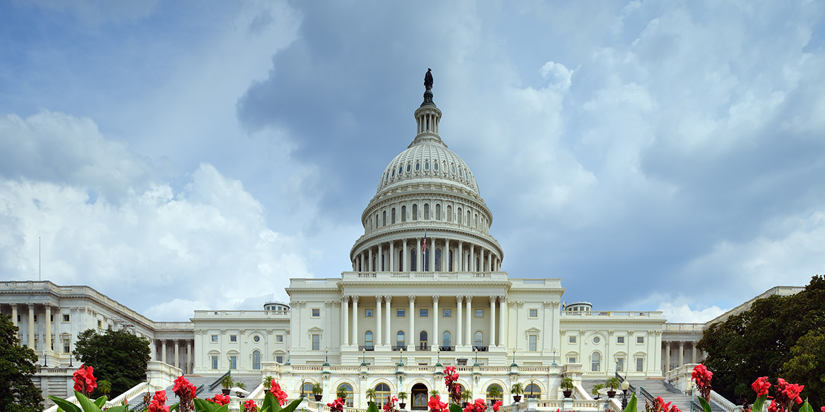 Madison, Wisconsin's capitol building with flowers on the bottom